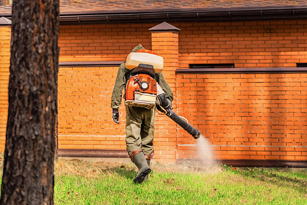 Bed Bug Clearance Verification and Documentation in Fairmead